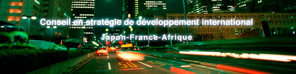 Conseil en stratégie de développement international
